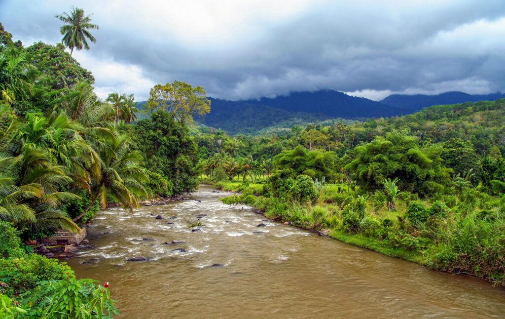 a river cutting through a forest with mountains in the background in Indonesia