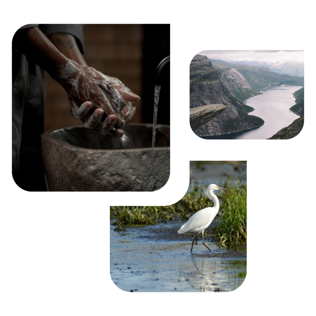 Cluster of photos showing WASH, a healthy river and a wetland bird