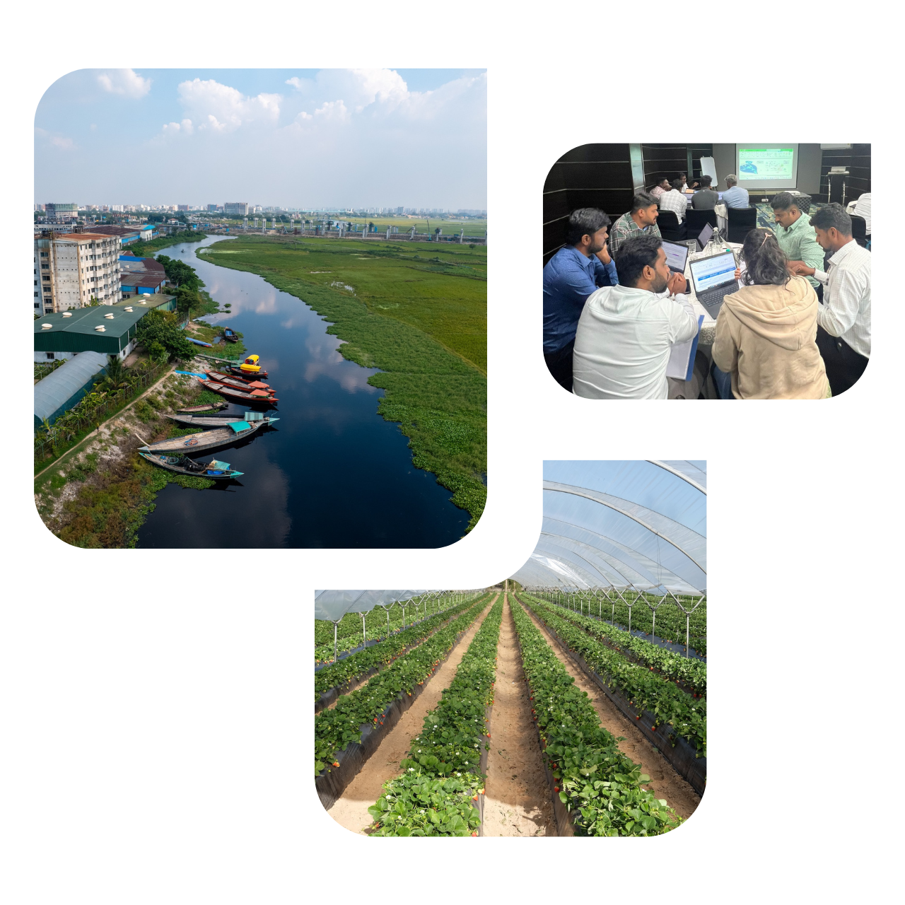 A cluster of photos showing a workshop in India, a river in Bangladesh and a stawberry farm in Spain