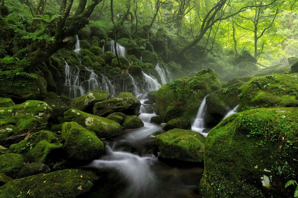 River in the Tohoku Region of Japan. Credit: Kanenori/Pixabay