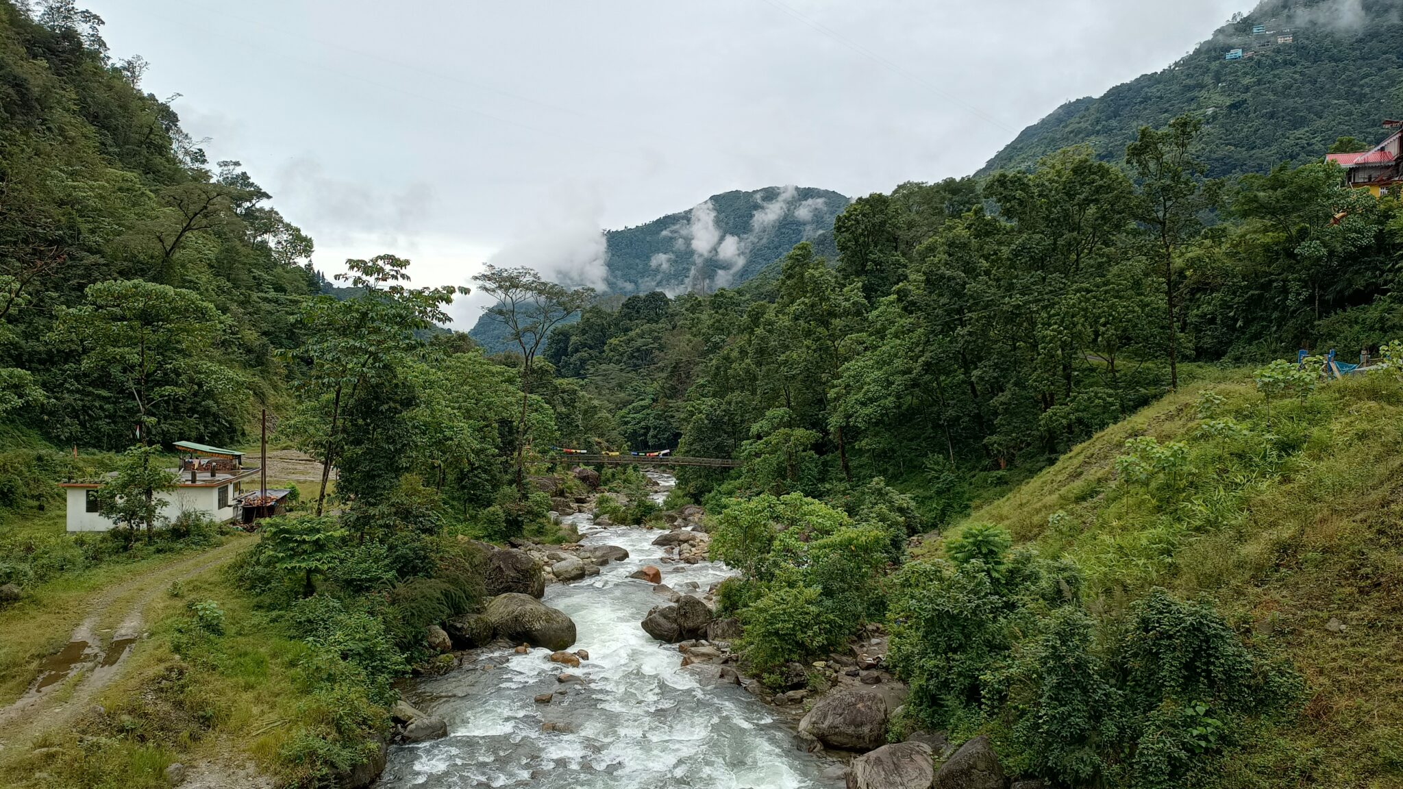 A peaceful river flowing through misty mountains and dense forests in Sikkim, India. Pexels/Zack Martin.